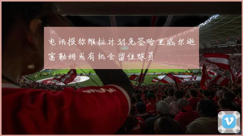 电讯报称维拉计划免签哈里威尔逊富勒姆或有机会留住球员